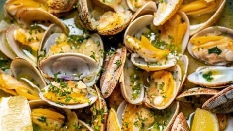 Amêijoas à Bulhão Pato Receita Portuguesa Fácil