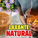 Receita de Suco Laxante Imediato