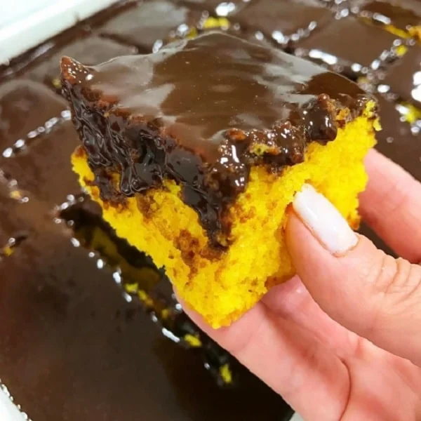 Bolo de Cenoura com Cobertura de Chocolate
