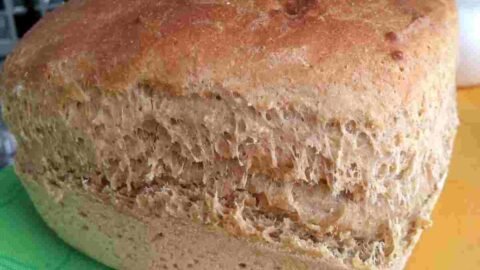 Como fazer pão integral na airfryer