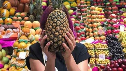 como escolher o melhor abacaxi