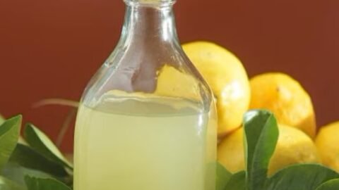 licor de limão com aguardente receita