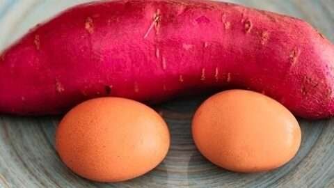 misture batata doce e ovo