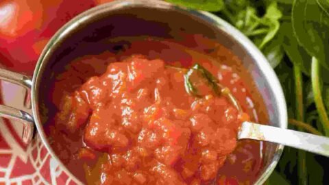 molho de tomate caseiro