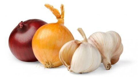 os poderes do alho e cebola