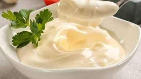 Faça sua propria maionese caseira em 5 minutos Receita Fácil