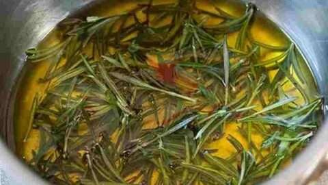 cha de alecrim e bom para que