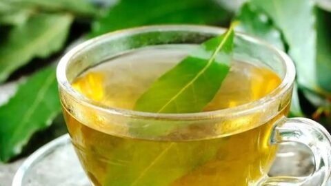 chá de louro para que serve