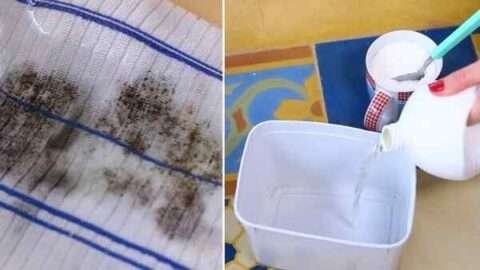 como tirar mofo de roupa colorida caseiro