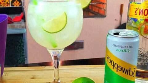 gin com schweppes citrus e especiarias