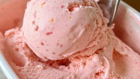 sorvete caseiro simples no liquidificador com gelatina