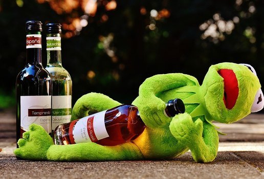 Como Curar a Ressaca de Bebida: Dicas e Remédios Caseiros Eficazes 4.8 (45)