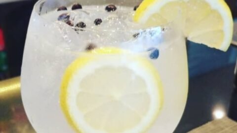 receita gin tonica com limao siciliano