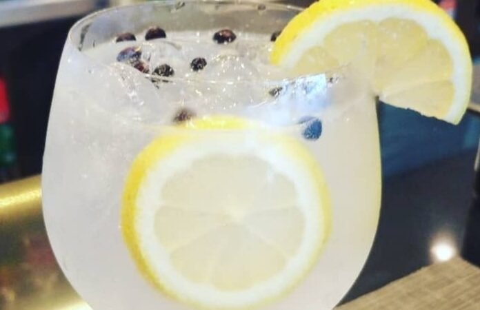 Você vai Elevar Seu Drink a Outro Nível! Gin Tônica com Limão Siciliano 4.8 (160)