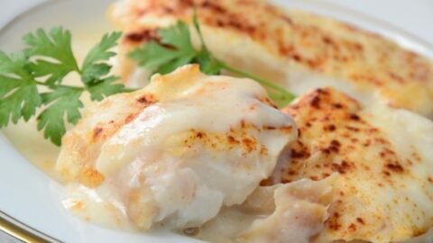 file de tilapia ao molho