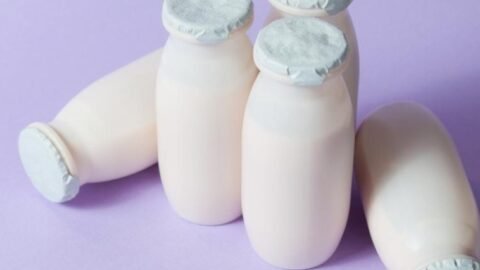 leite fermentado o que é