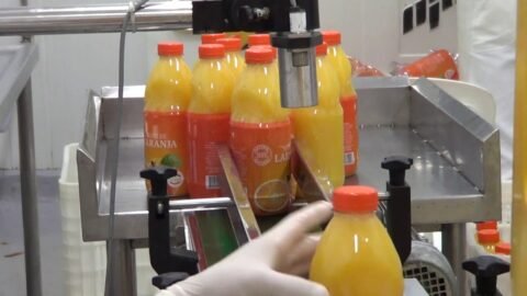 o que é pasteurizado