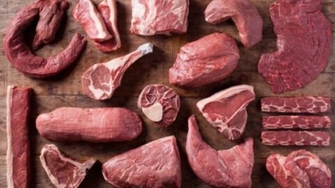 qual carne é boa para churrasco