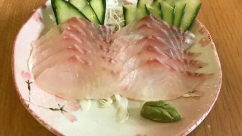 sashimi de tilápia