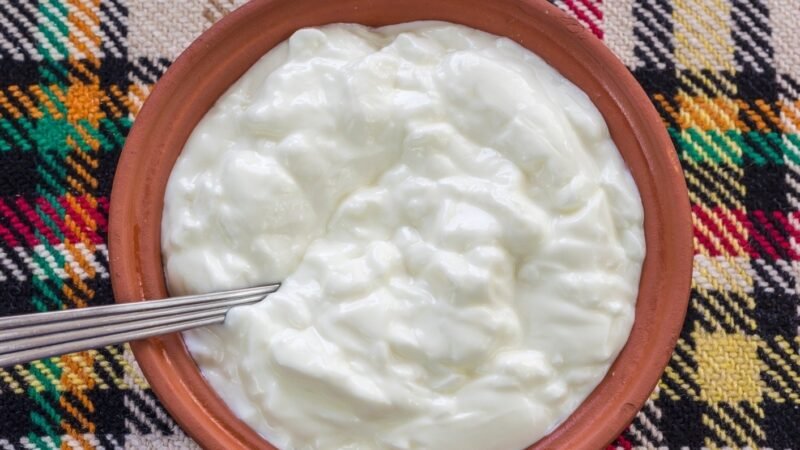 Iogurte Búlgaro – Receita Simples de Fazer em Casa 4.9 (89)