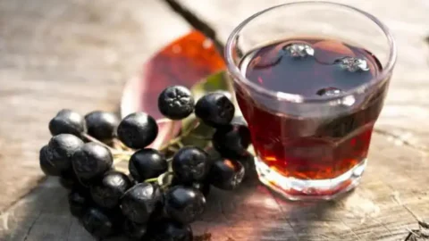 receita de licor de jabuticaba com cachaça e açúcar mascavo