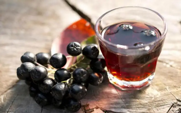 Licor de Jabuticaba com cachaça e açúcar mascavo
