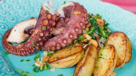 Polvo cozido de Natal