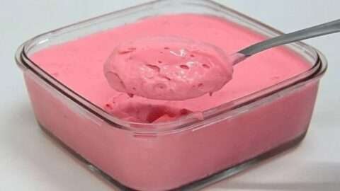 Danoninho caseiro que bariátricos e diabéticos podem comer