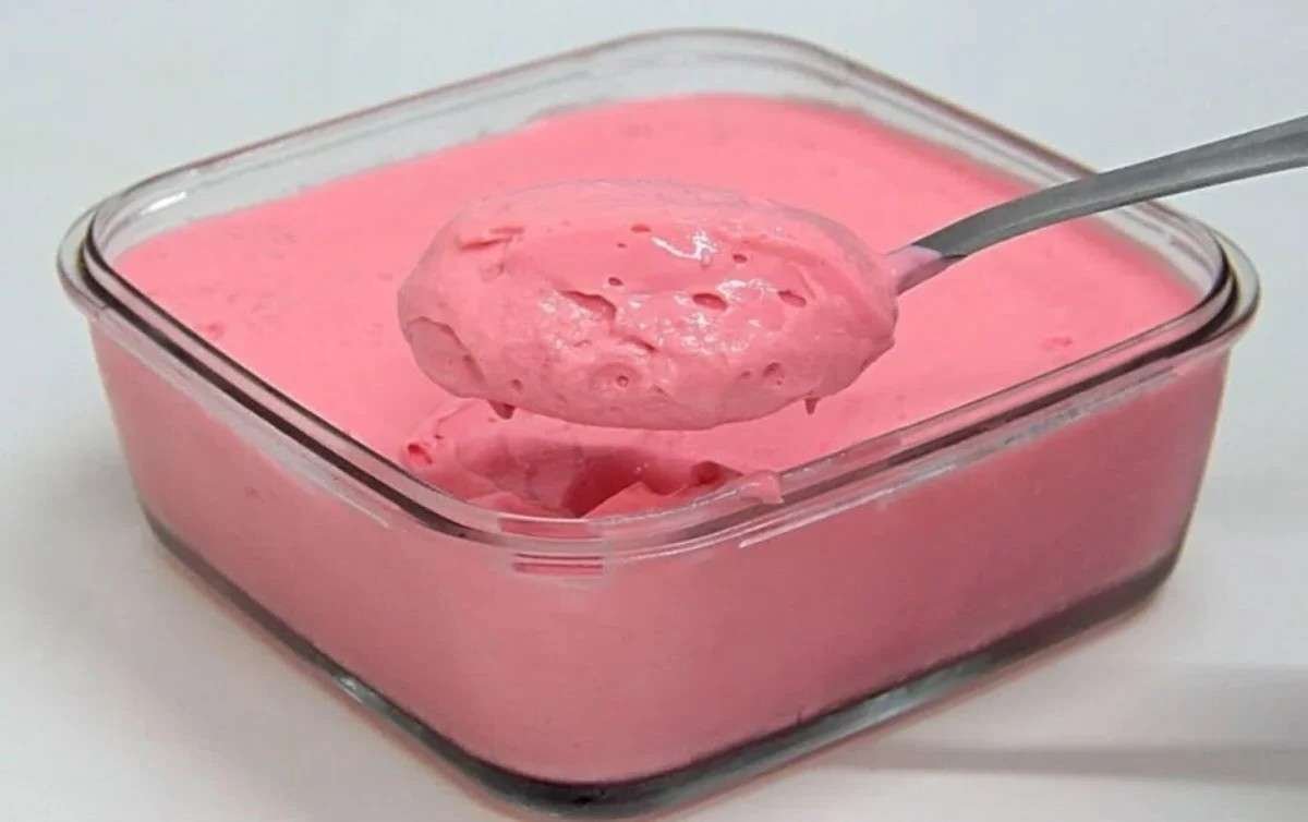 Danoninho caseiro que bariátricos e diabéticos podem comer