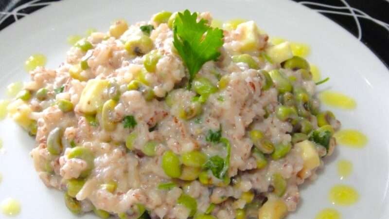 Rubacão Nordestino com Feijão-Verde: O segredo da cremosidade absoluta 4.9 (50)