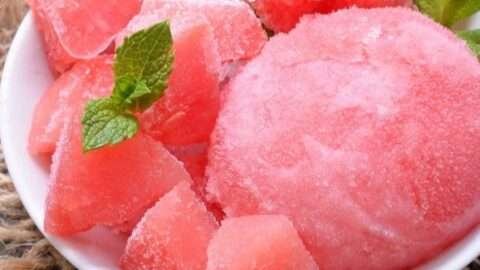 Sorbet de Melancia e Limão