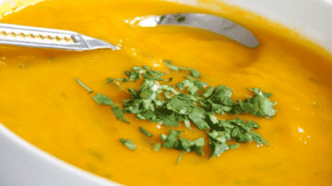 sopa detox para emagrecer